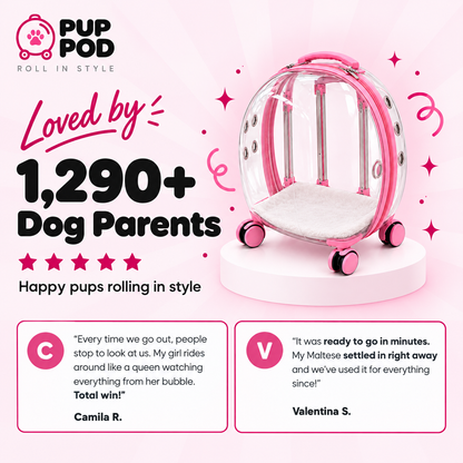 Rolling Bubble Dog Carrier